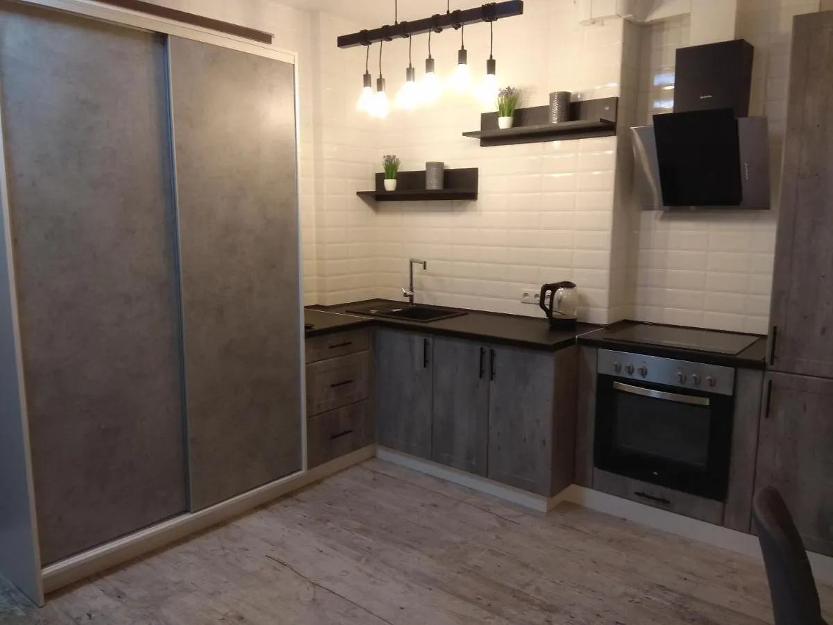 Appartement Уютная Видовая Квартира В Стиле Лофт Oekraïne